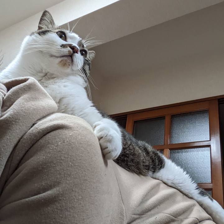 24707cd5 219d 4b89 973c 3e8e535fb1a3 1670491426981