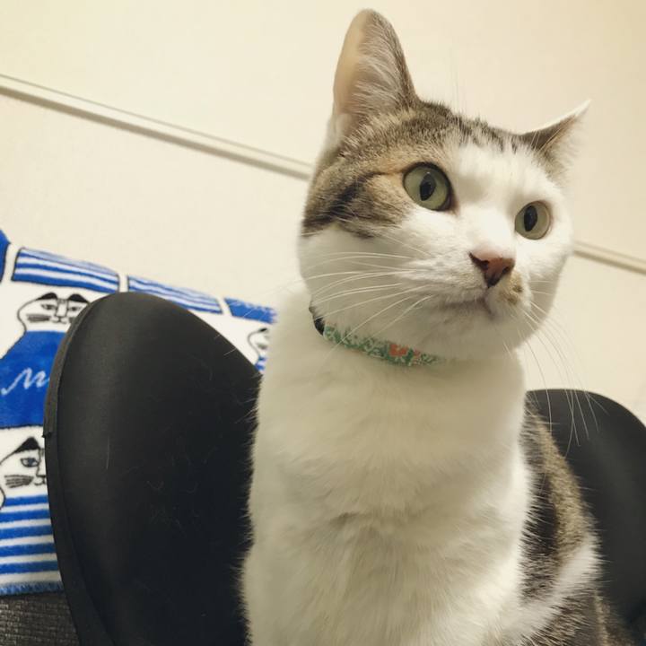 2470e1a2 7af2 44e5 946e f61ea0381a5f 1513432879543