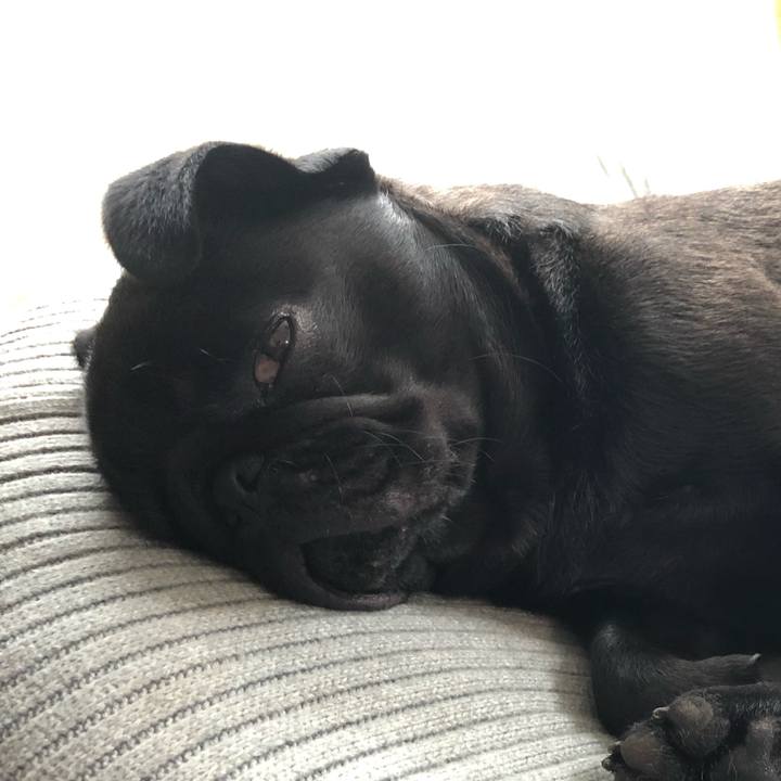 247124ca 7e52 4268 8244 a34473df0a8e 1622083265417