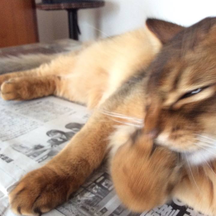 24713c85 86a3 47bb 910d 02f439a5d3c8 1574911002009