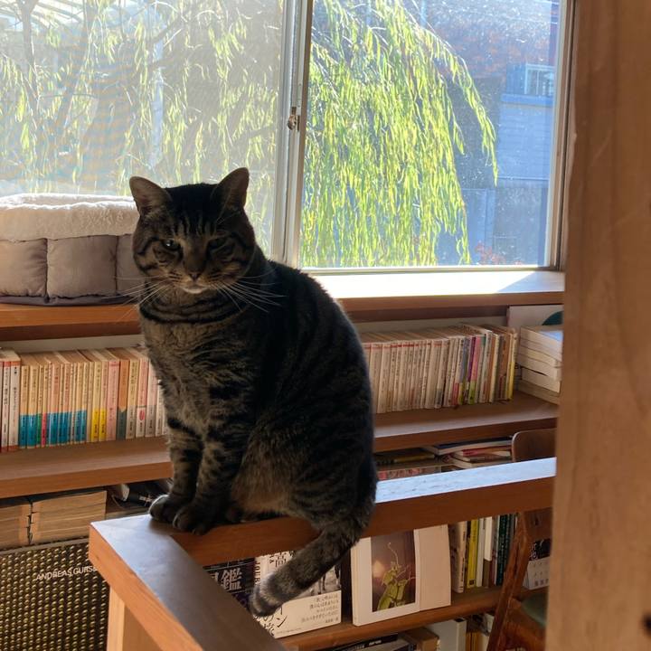 2471782a 953e 469e 8596 c4a9c4e7cc86 1703984800395