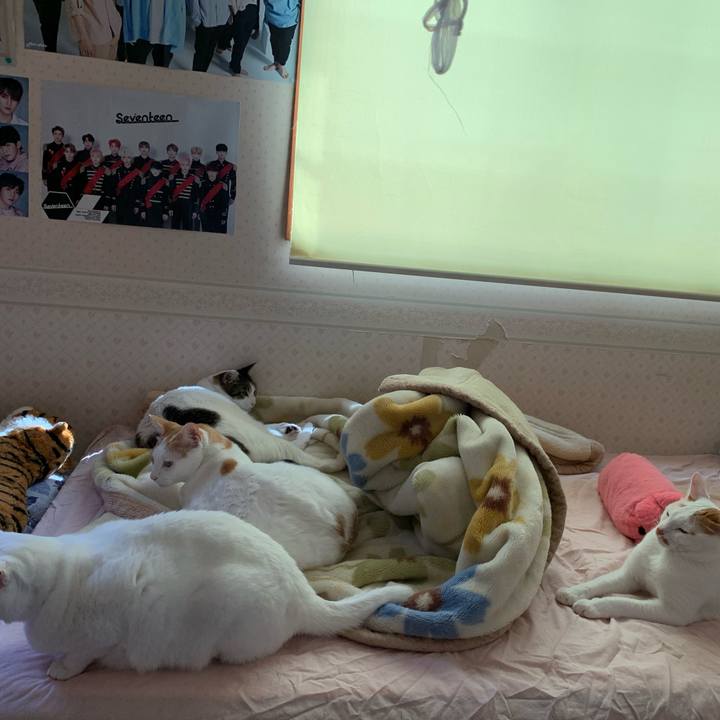 247181e6 ead0 48ac 94fe b32bf761fc67 1615686862437