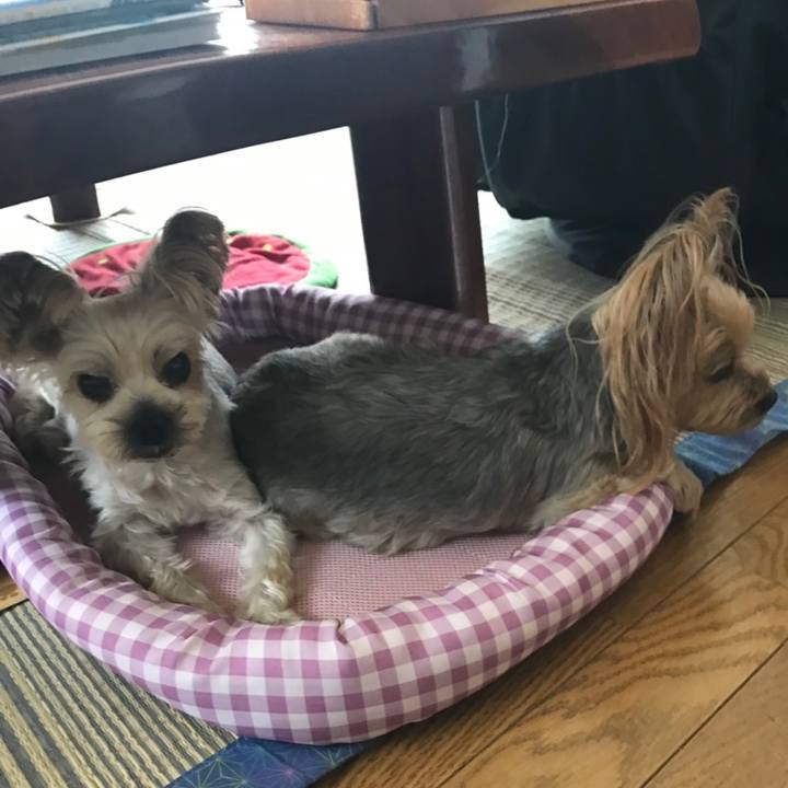 24718b21 08ad 4770 badd 9ccb10171eba 1561451523378