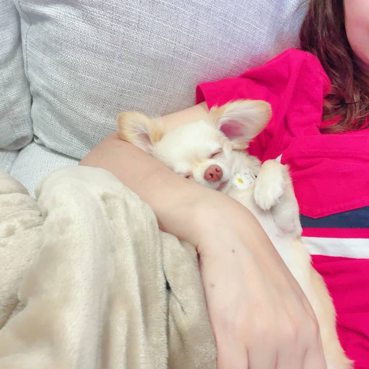 24719153 0deb 4453 b30d 582025d4fab3 1686229892966