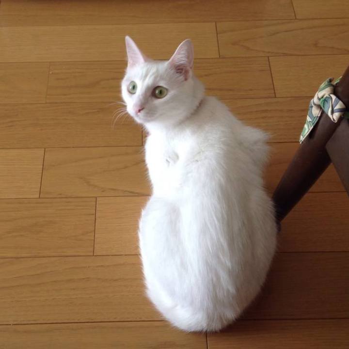 2471b509 5d32 407d 9b16 c25e54cd929a 1646647816977