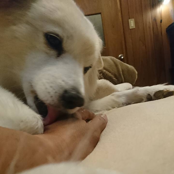 2471dccc 288d 44ba 8ffb 6e8ced9e5bc9 1549967435039