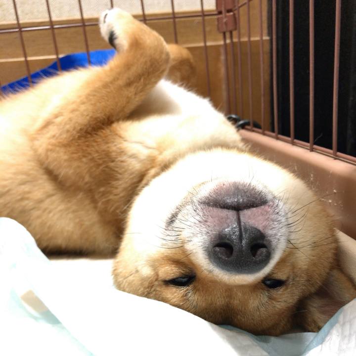 2472134d c9c1 4e86 a6be 9e41ab474c94 1526770040432