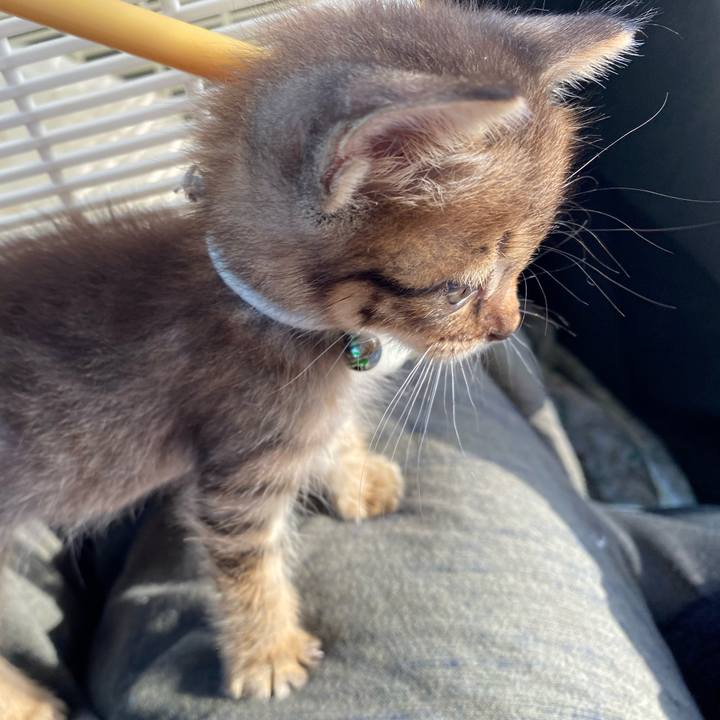 247222aa 55f2 40f6 a67a 78ffc6738952 1635140731293