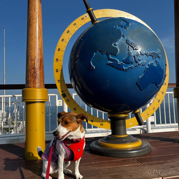 24723b1f a83a 4ce4 94bf c5186d46fa8e 1756533553909