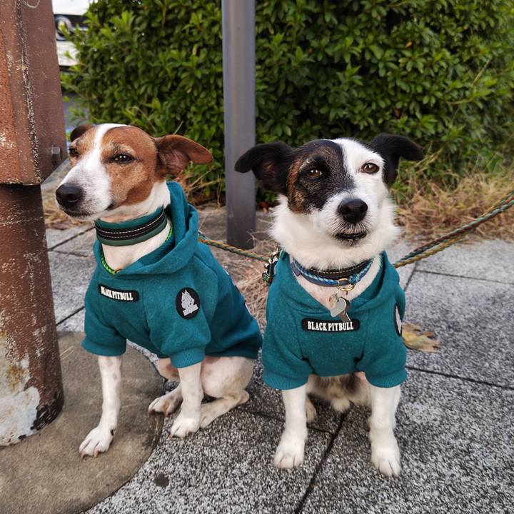 24725ff5 7d80 4cb4 b25d 1d05ef9907d9 1733263345739