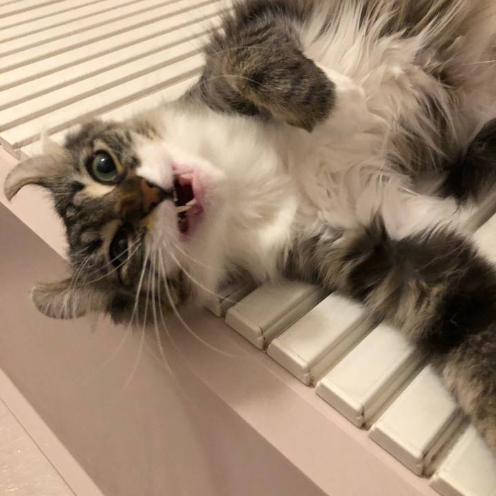 24727453 34af 47f4 a059 f6a754bc1f26 1523525623802