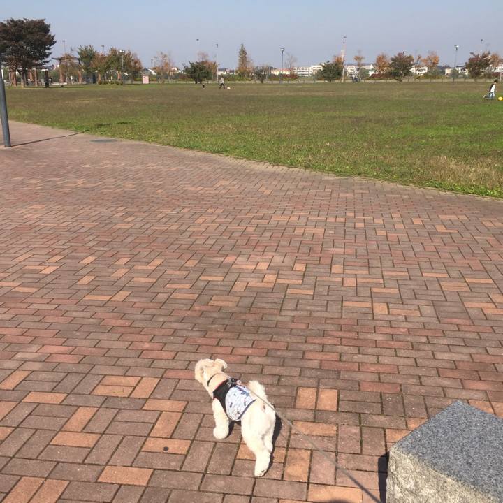 247276ba 2272 4bb2 8391 892da3ba9a1a 1509783985959