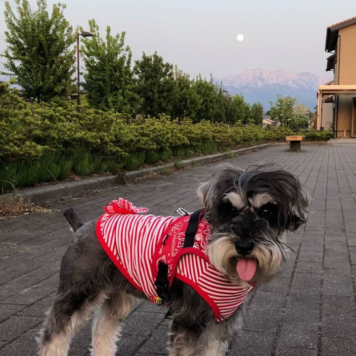 2472a4f8 1dce 49c2 a39f 41fda3065861 1525009139914