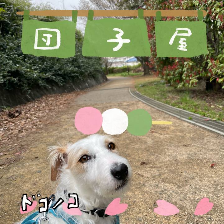 2473011f 3255 4f2e 9bf2 3a126e50a88d 1712432902762