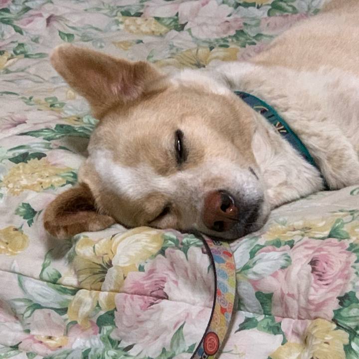 24731b80 5906 4b2d 9478 d10b008a3395 1559054963484