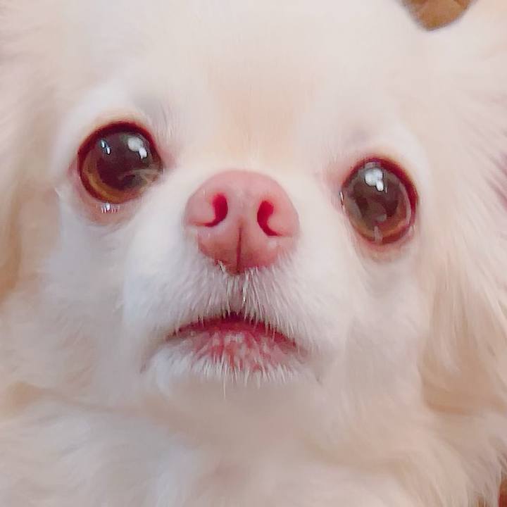 2473225a ca34 4829 bffb f9f906f4a50d 1704799587029