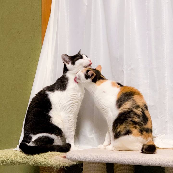 24733cff 97ec 4c8e b71b b3584b8e054d 1566522687566