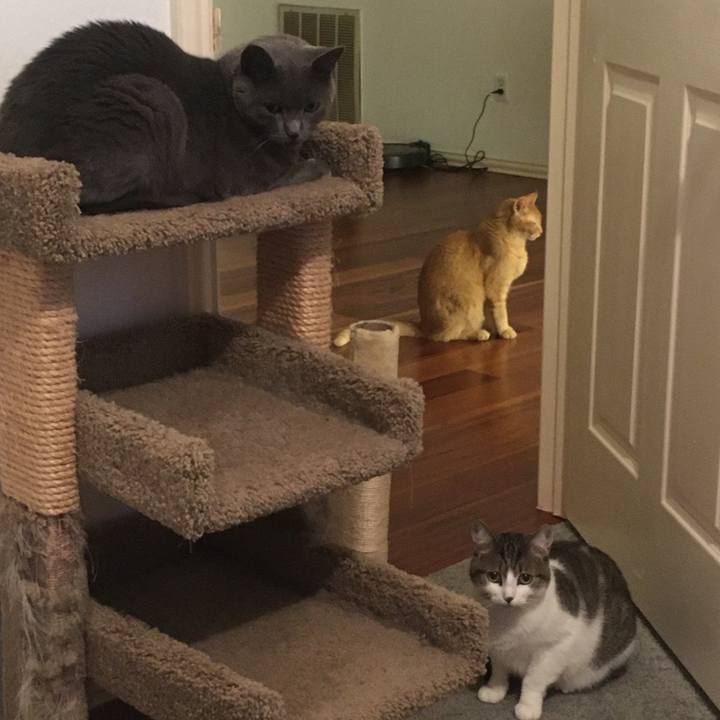 24736605 223a 4f87 8267 d781fc4ad734 1690854960720