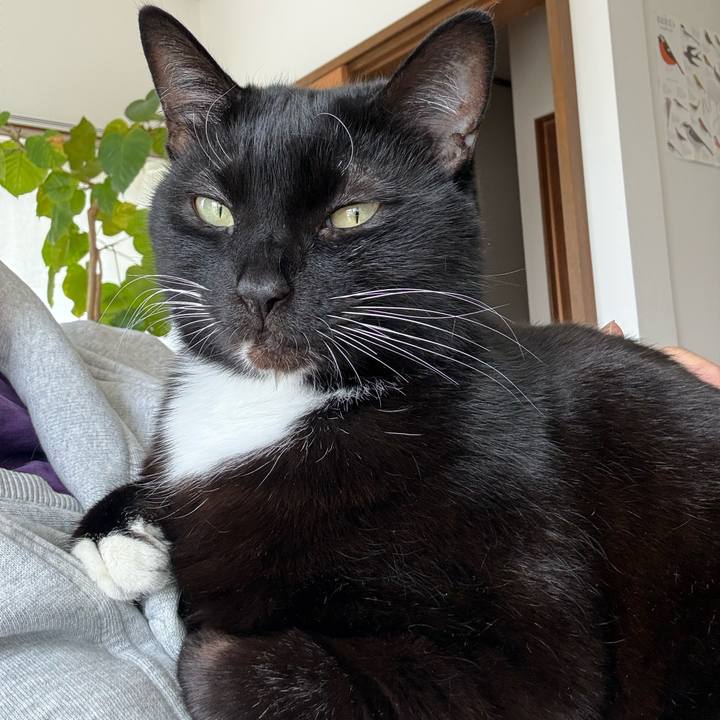 2473701f cb22 4d1b 843a a79bba29d088 1775107121640