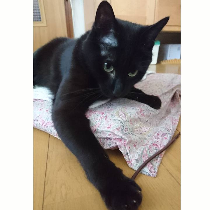 247380b6 88cd 4d57 b662 9eb3e6bdbf9a 1578214388616