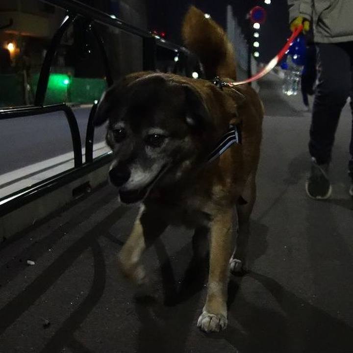 2473d10b 3b7c 4624 92b3 45931ea818ac 1521983040974