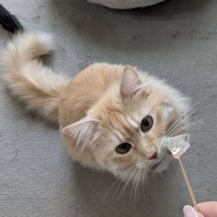 2473ecbb fad0 4dc4 add6 1460aa51e1cf 1756623976239