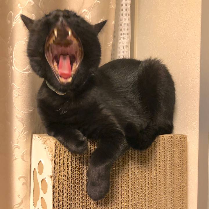 24740a08 c716 4808 959c 14dedab2efe9 1571569404451