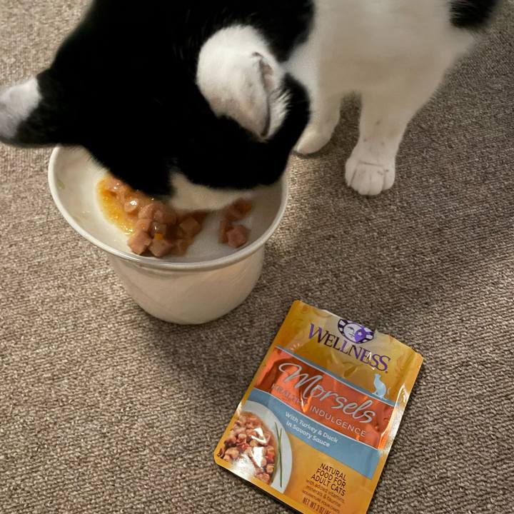 24741e55 42ca 4201 abf1 a0b425d3b2d4 1674893238568