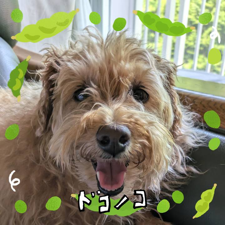 247425aa eeae 4833 8bbc aa2071e66cbe 1721169808290