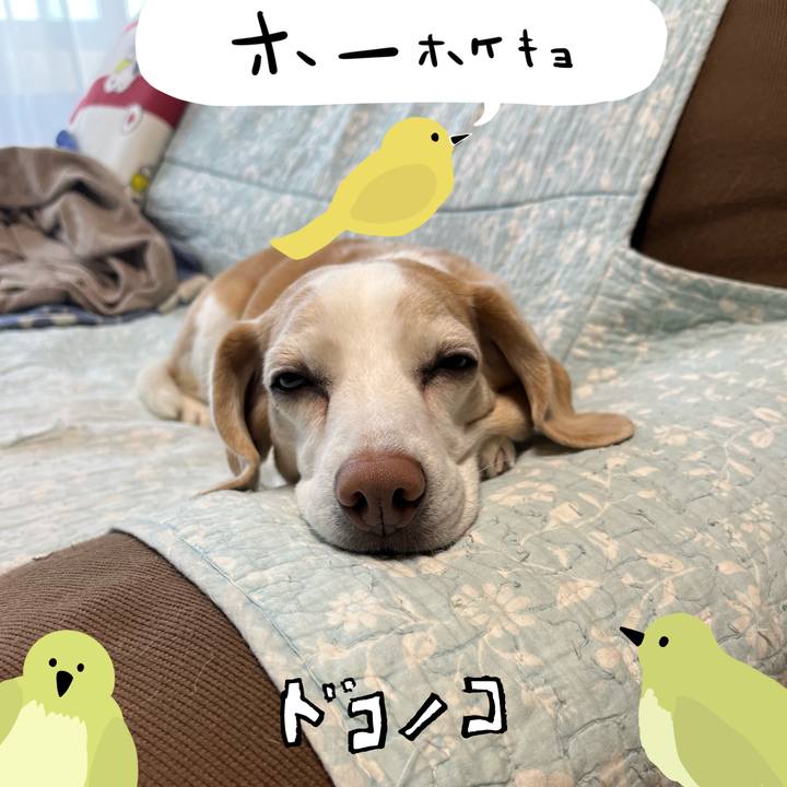 247450e0 df76 4e64 9ae9 21b4ca3e0ddf 1711192973062