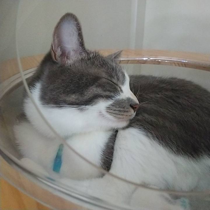 247457ab c17d 4b37 ade4 bf40035ea70a 1632540468600