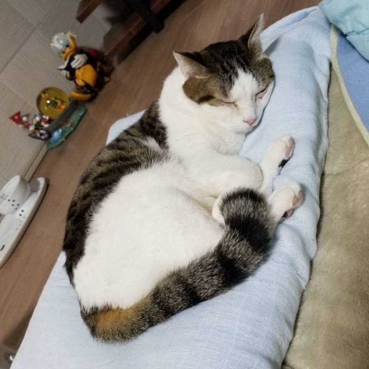 2474623f ffa2 4b47 a155 557b262281e0 1613135136600