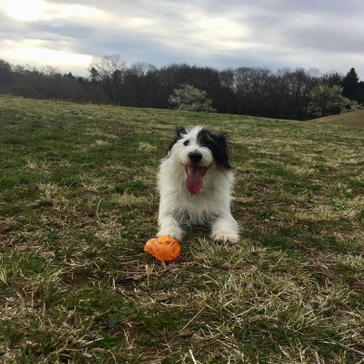 2474d8b6 db55 4256 94b7 6bbd11bf1f03 1521757271725