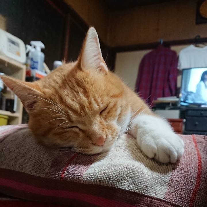 2474e954 ef92 452d 8328 99c2ca06bb22 1605943571803