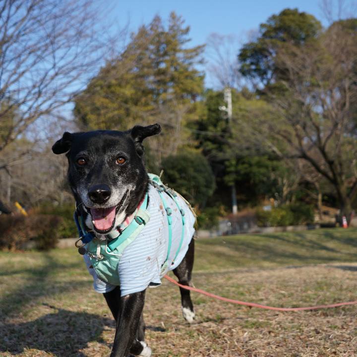 2474f762 e3fa 4f08 9363 7231dbbf5468 1773276650689