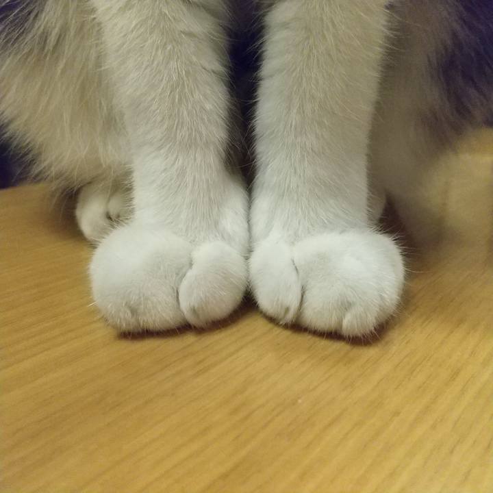 24752e7a 1252 4b2a b62a 2d78bdc47ca0 1608723426154