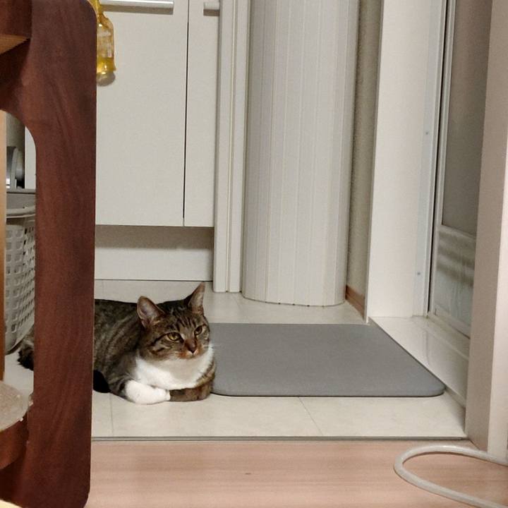 247542ee 6a44 4219 915f 143b634d713d 1658264388827