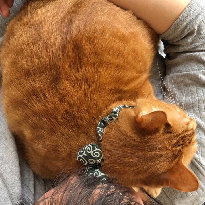 24754966 7735 478d bd2d 34fd9faa11a9 1556598466207