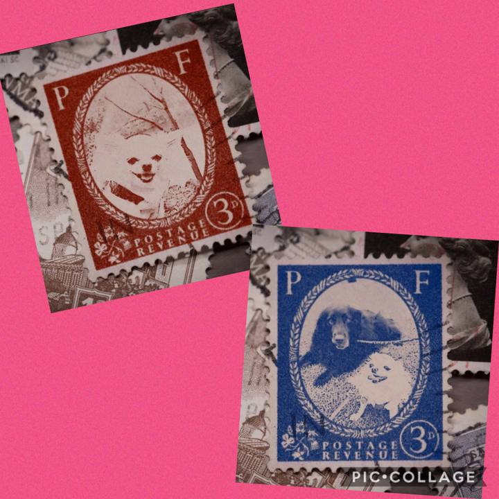 24754ab6 701f 4301 a483 20f402af5f8c 1569919003688