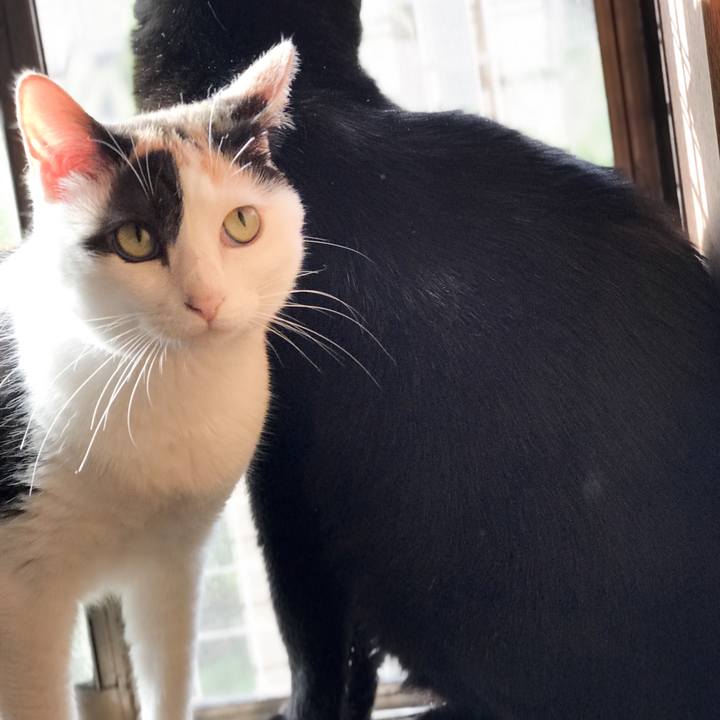 2475514b 191b 4bf1 9fb2 3501e3f5e847 1528941375110