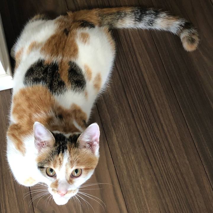 24756085 9d41 4643 9dbd b530cc883ac8 1569195112094