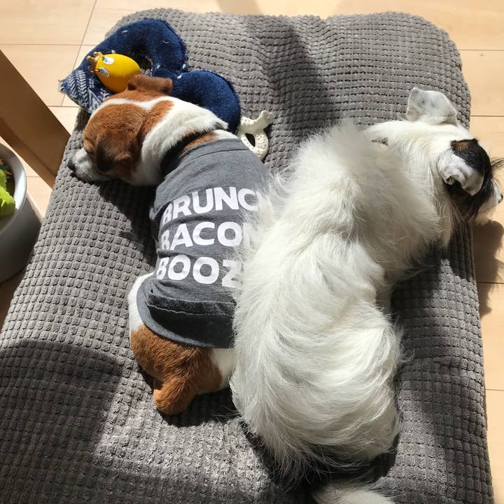 24756772 6541 45f0 b7e9 4d432ae6e0f4 1530682599874