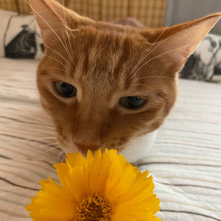 24757c98 cc76 4ae3 885a ca0e76e55628 1591001872609