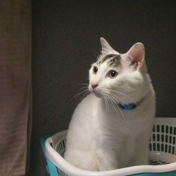 24759d80 9c87 478e b243 898214e26d3e 1529809088303