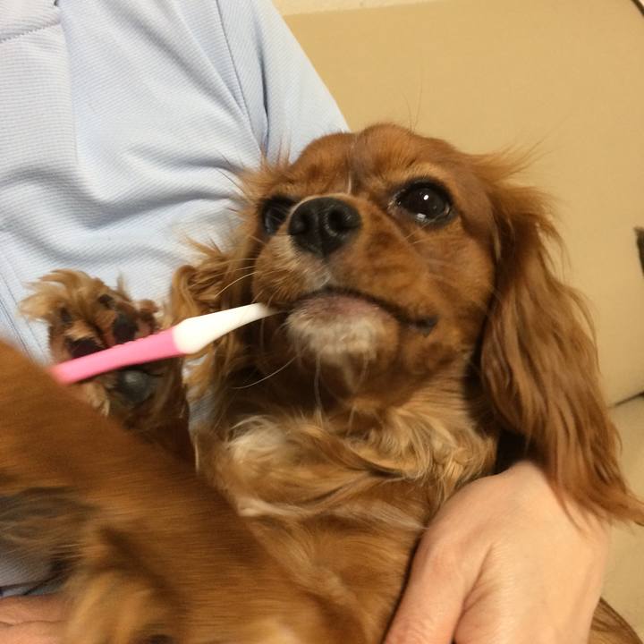 2475b1bd 3165 468e a050 15d0b4d492bd 1511871206910