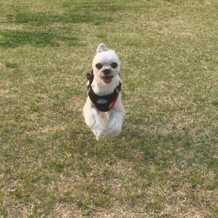 2475c49f 0c94 404d 8c09 9c731337520a 1555843035231