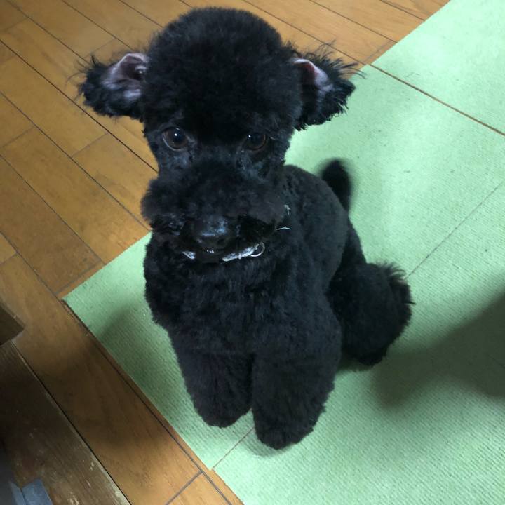 2475d03f 04f7 4986 bc27 f837904f4eb7 1550528058358