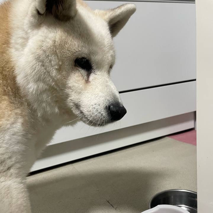 2475e952 4861 4199 9afe 66de972bd18a 1731333984282