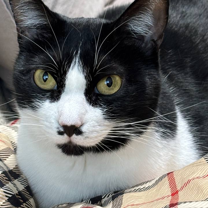 24763639 f01e 4b42 9af8 4419b6f75842 1772502397229