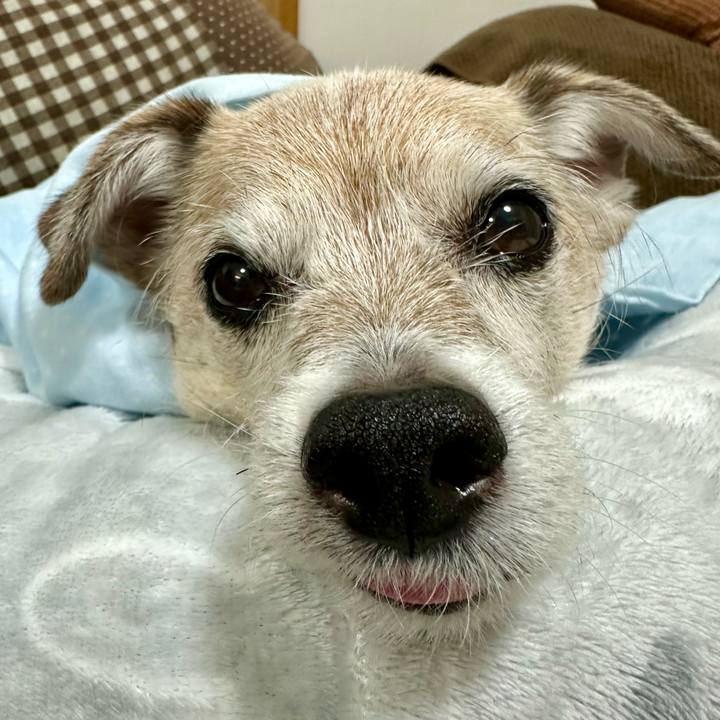 24763f85 5518 4270 873c 6c20e77faf3e 1733997605860